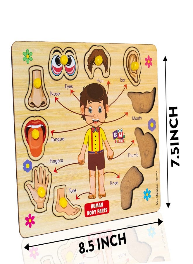 BuGBee Body Parts Toddler Puzzles For Kids Ages 2-4-8 Montessori Wooden Puzzles For Children 3-5 Years Old Preschool Game For Learning Human Body Parts Anatomy Skeleton - Gift Toys For Boy And Girl - Image 5